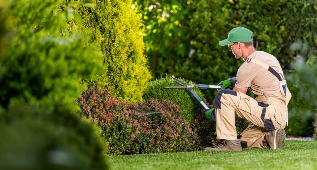 Comment choisir une bonne entreprise pour l'entretien de jardins : Guide pratique