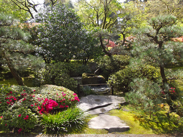 jardin japonais