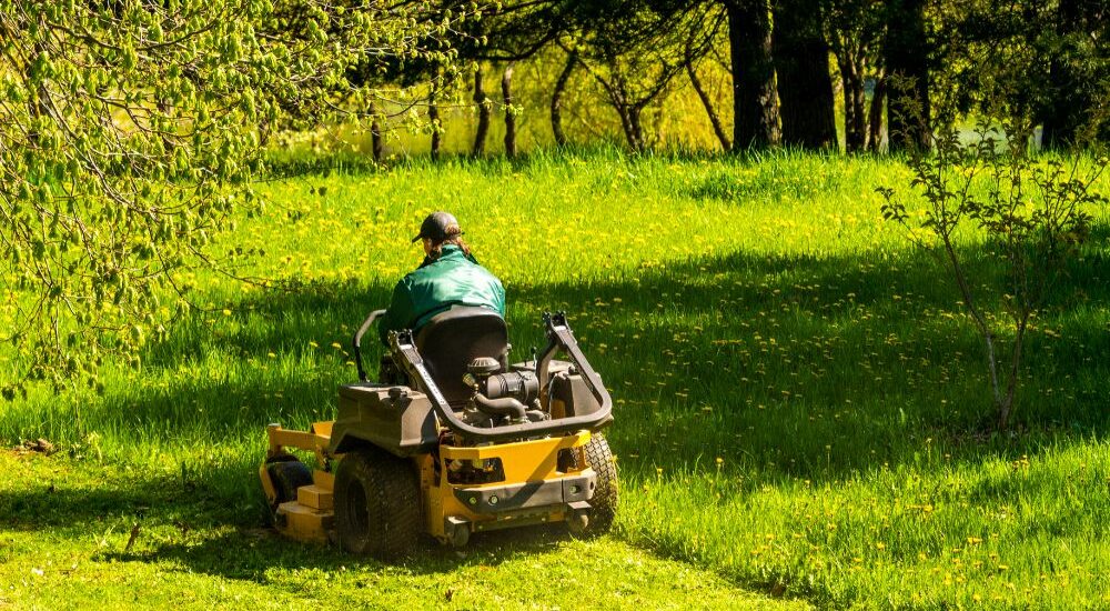 Tracteur de pelouse vs tondeuse autoportée : quelles différences ?