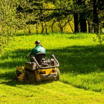 Tracteur de pelouse vs tondeuse autoportée : quelles différences ?