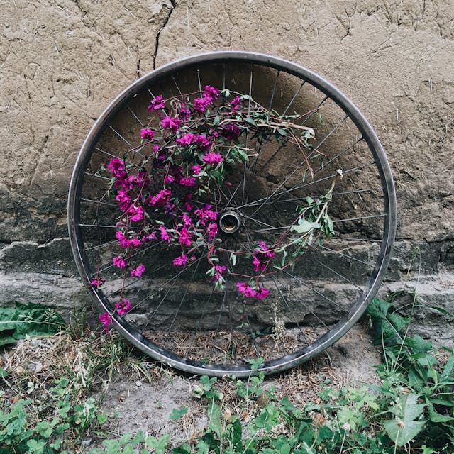 recyclage vieux métaux pour le jardin 