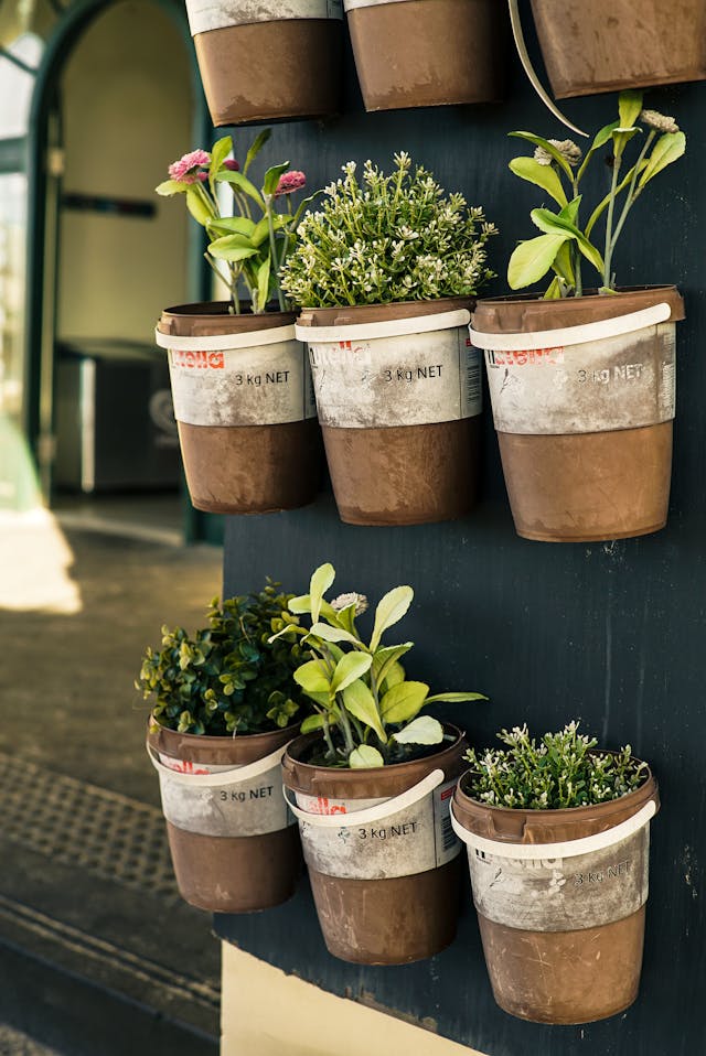 choix des plantes de votre jardin